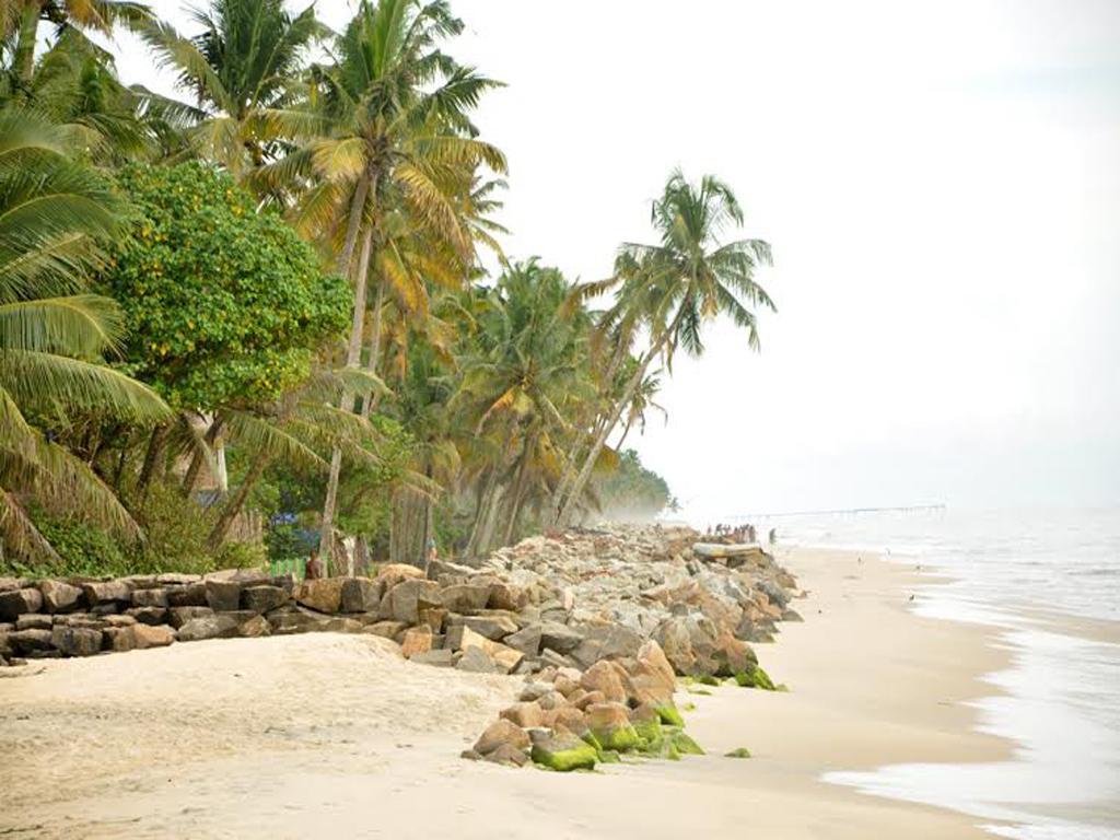 Apartmán Angeo Beach House Alappuzha Pokoj fotografie